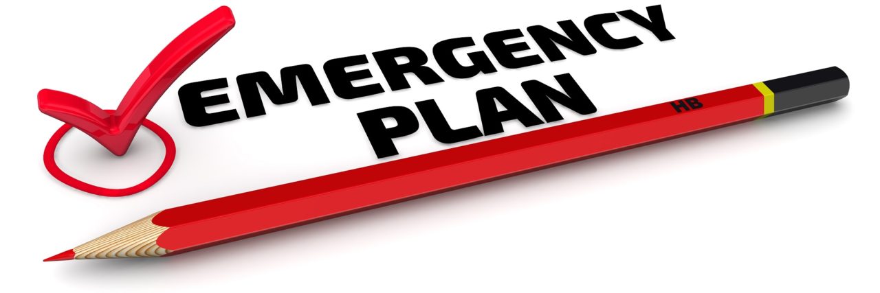 what elements should emergency action plan maps show