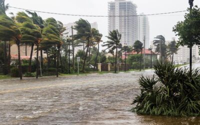 Location and Orientation: Evacuate or Shelter? How to Plan and Map for Severe Weather