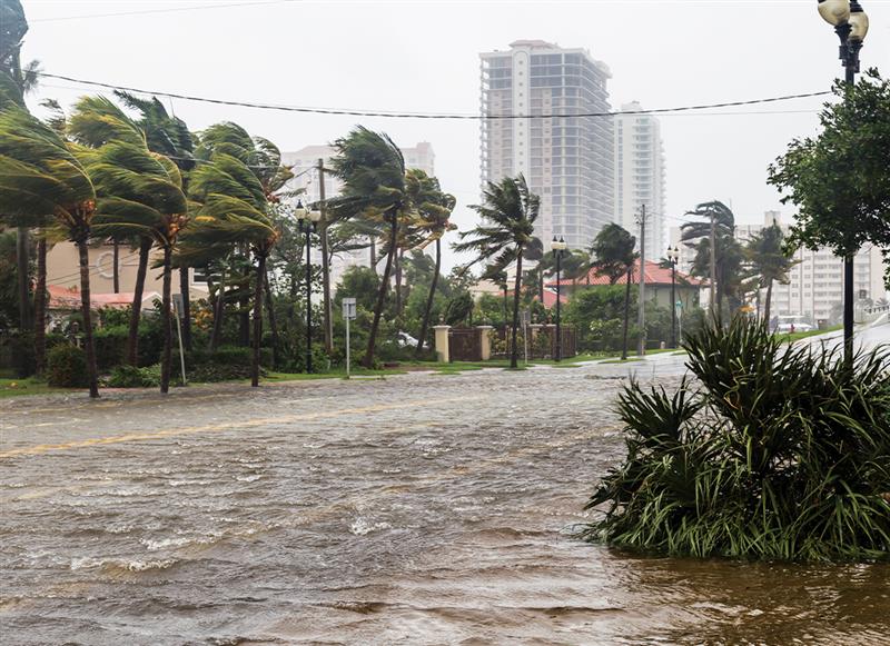 BMS -hurricane pushes water down a street